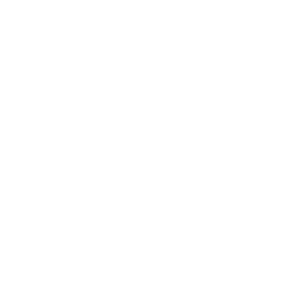 logo paris basket blanc
