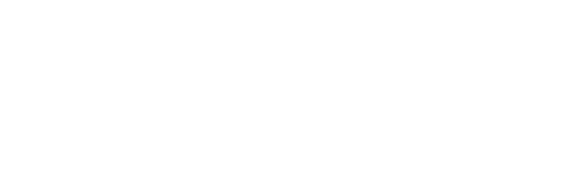 logo total
